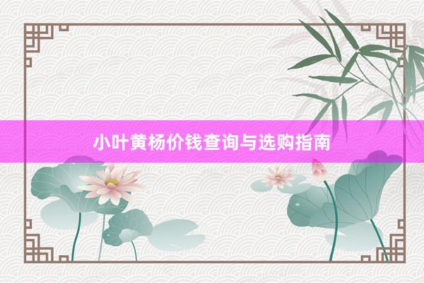 小叶黄杨价钱查询与选购指南