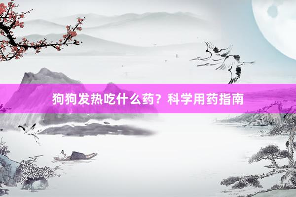 狗狗发热吃什么药？科学用药指南