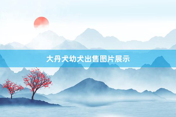 大丹犬幼犬出售图片展示