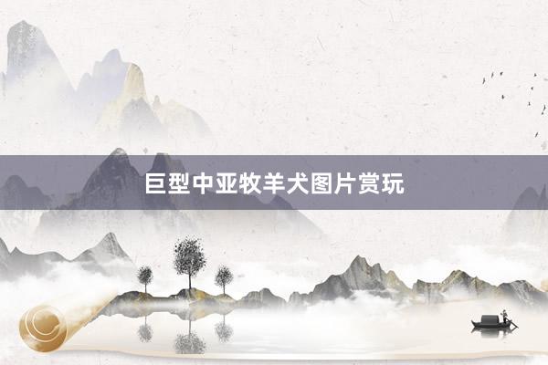 巨型中亚牧羊犬图片赏玩